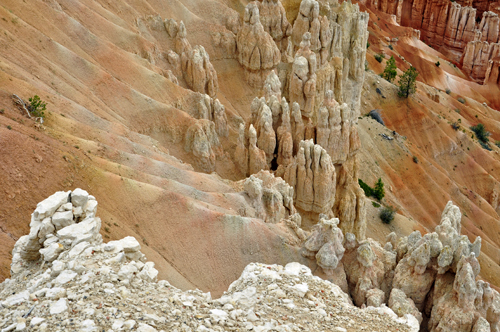A wide spectrum of color and stone  at Bryce Canyon